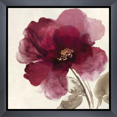 Crimson Peony II