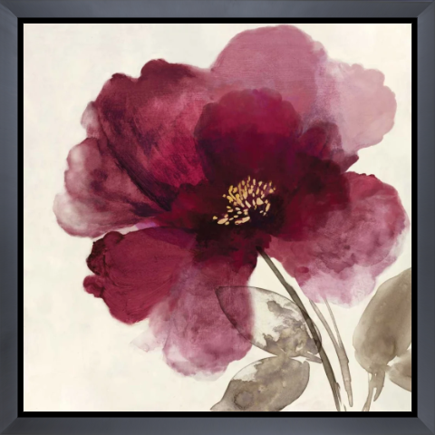Crimson Peony II