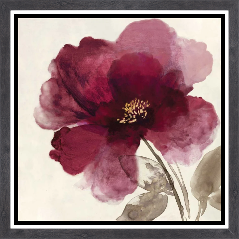 Crimson Peony II