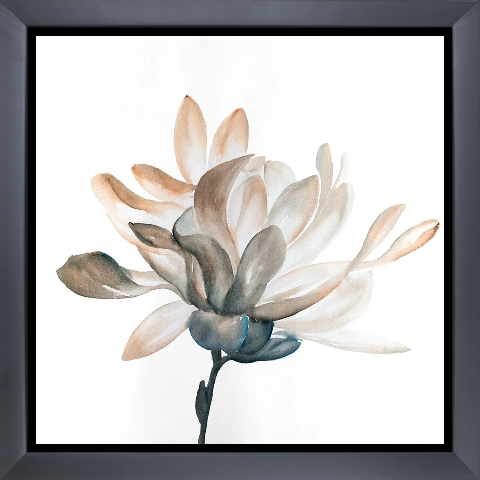 DESATURATED FLOWER WITH BEAUTIFUL PETALS