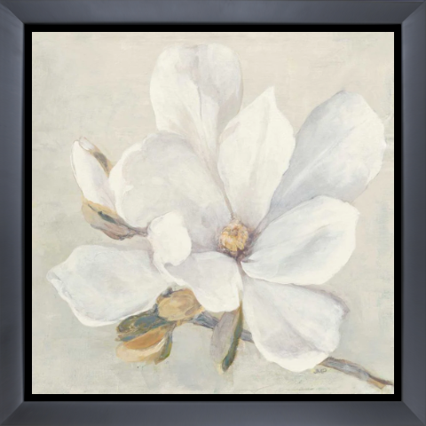 Serene Magnolia