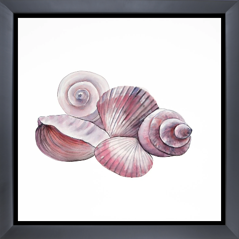 SEASIDE SHELLS