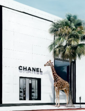 Rodeo Drive