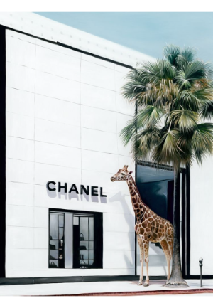 Rodeo Drive