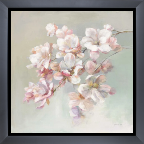 Sugar Magnolia