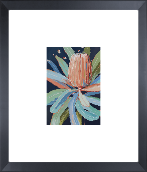 Coral Banksia