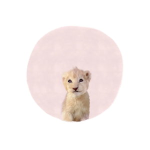 Baby Tiger Pink