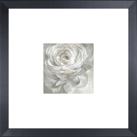 White Rose