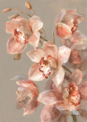 Delicate Orchid II