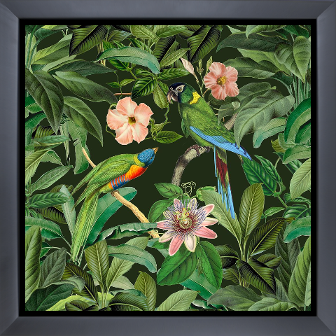 Exotic Paradise Jungle Birds