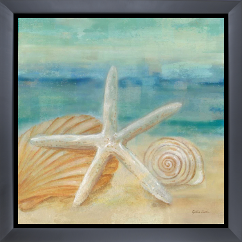 Horizon Shells I