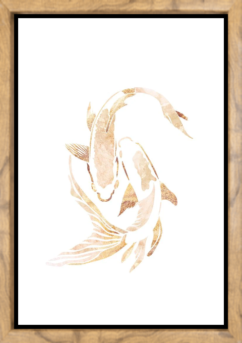 Gold White Japan Koi Fish