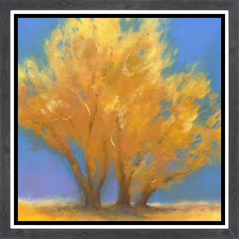 Fall Cottonwoods