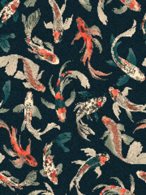 Hla018 Koi Fish Dark