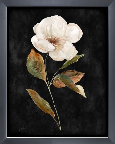 Botanical on Black Wash I