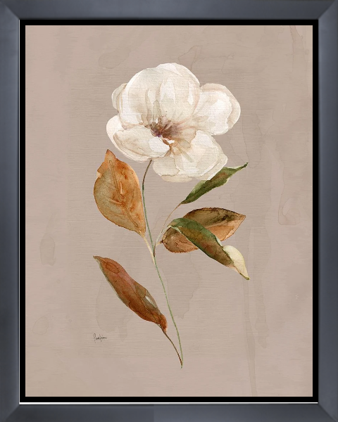 Aged Botanical I