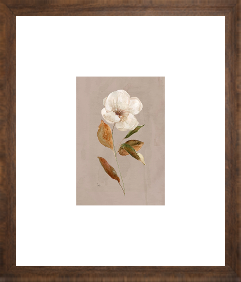 Aged Botanical I