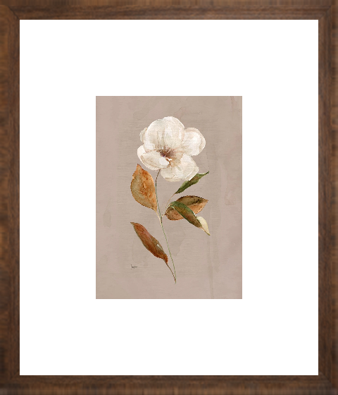 Aged Botanical I