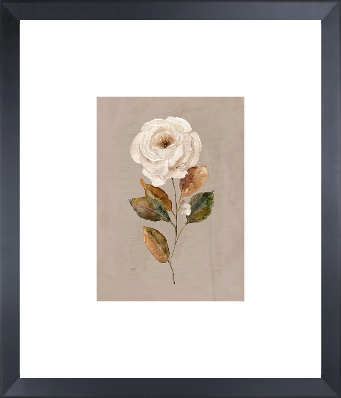 Aged Botanical II