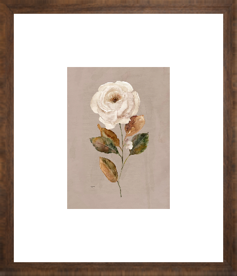 Aged Botanical II