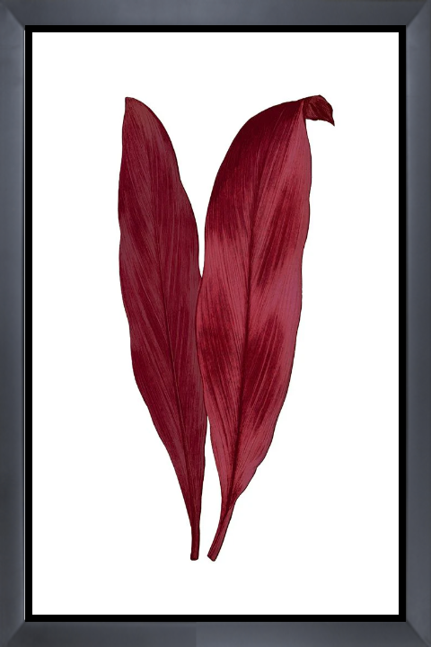 Leaves Series - Burgundy III