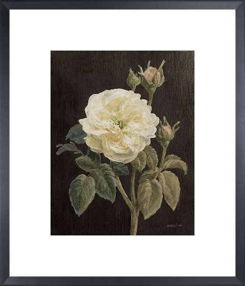Heirloom White Rose on Black