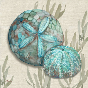 Crescent Beach Shells I