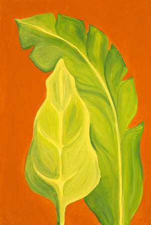 Life in the Tropics II