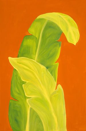 Life in the Tropics III