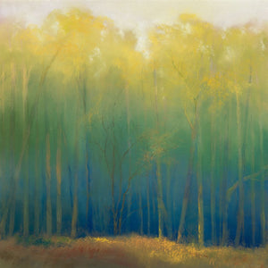 Deep Woods in Summer