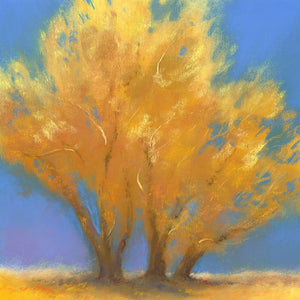 Fall Cottonwoods