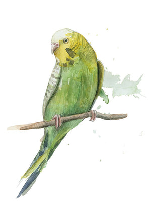 Bird 2