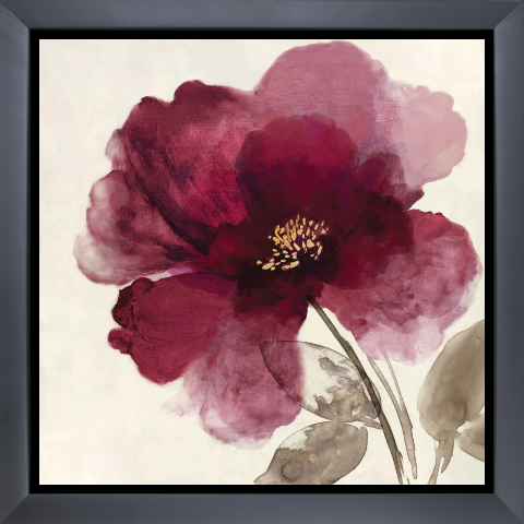 Crimson Peony II