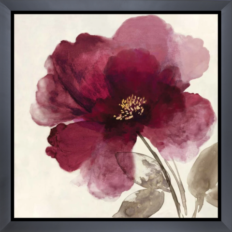 Crimson Peony II
