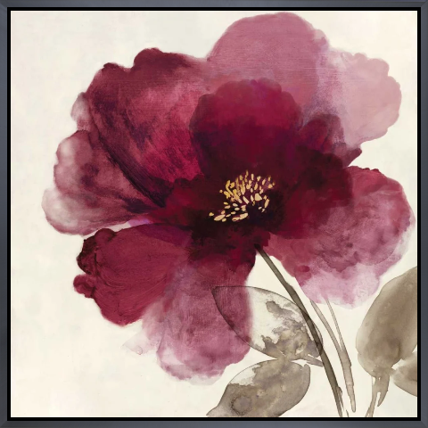Crimson Peony II