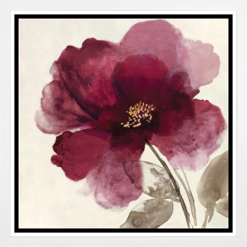 Crimson Peony II