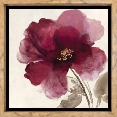 Crimson Peony II