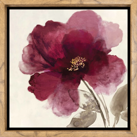 Crimson Peony II