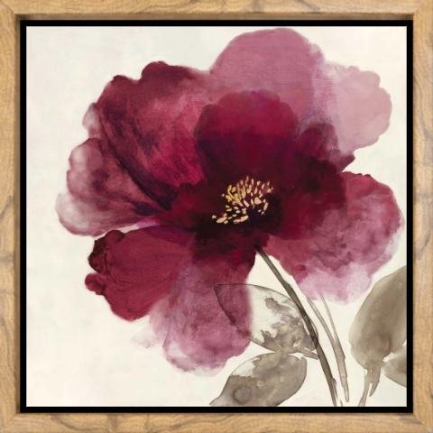 Crimson Peony II