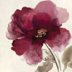 Crimson Peony II