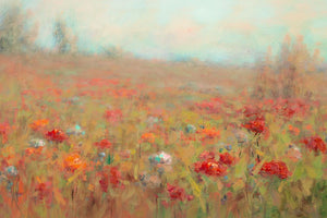 Hazy Meadow