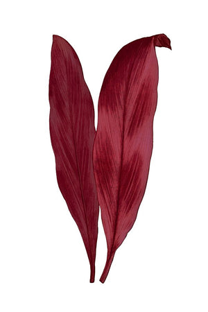 Leaves Series - Burgundy III