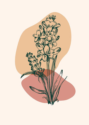 Lavender flowers