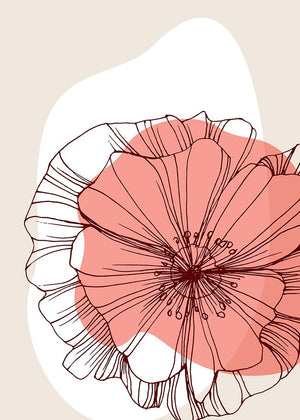 Poppy 16