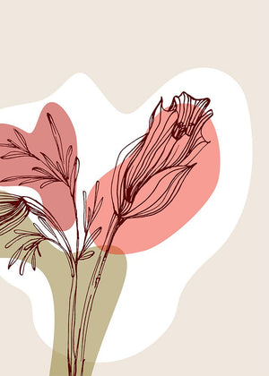 Poppy 17