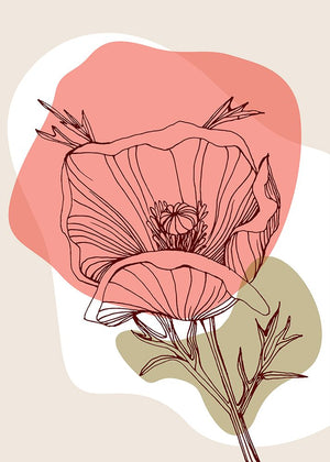 Poppy Â blossom