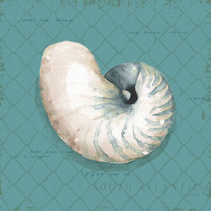Ocean View IV on Teal