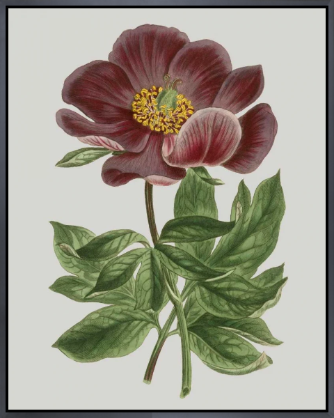 Floral Gems II