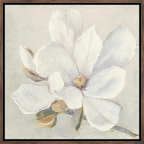 Serene Magnolia