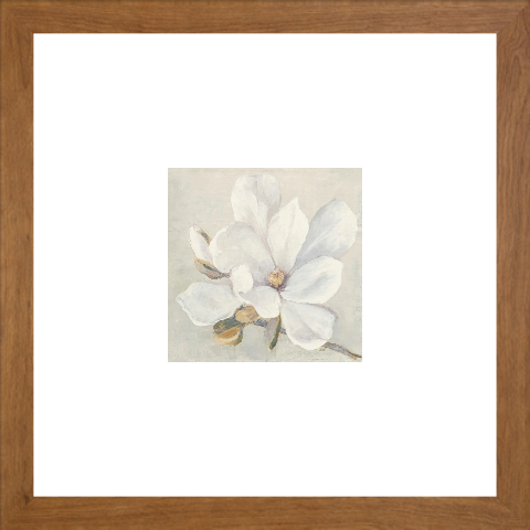 Serene Magnolia